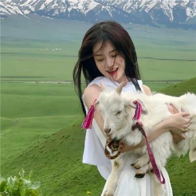 明珠游龙